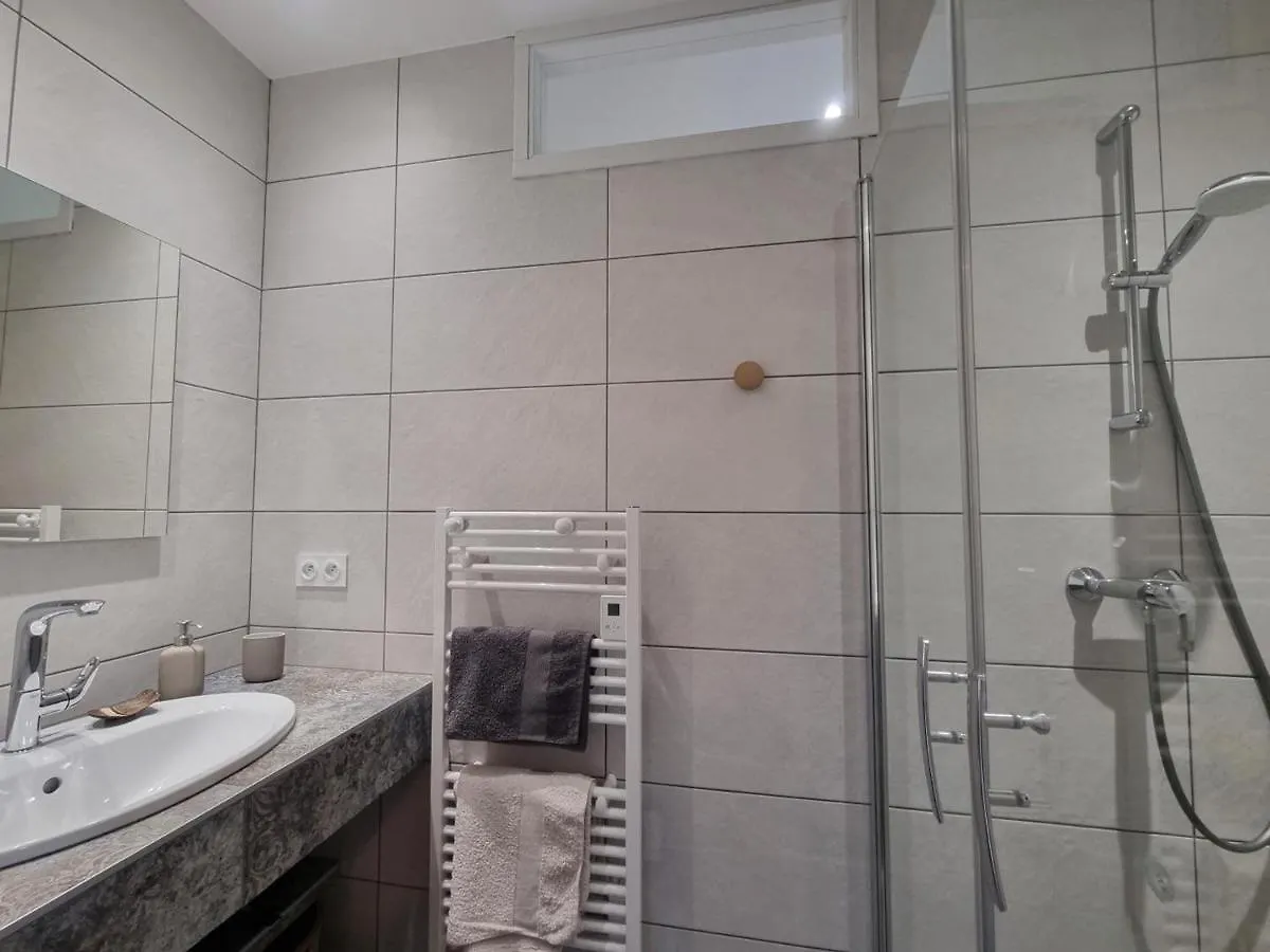 Gite Charmant Avec Jardin, Terrasse Et Tout Confort A Saint-Galmier - Fr-1-496-293