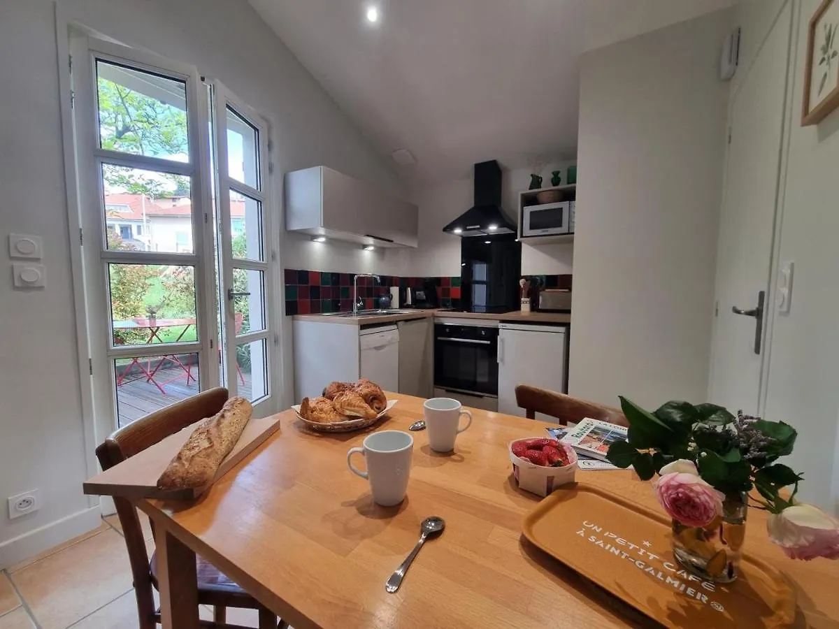 Gite Charmant Avec Jardin, Terrasse Et Tout Confort A Saint-Galmier - Fr-1-496-293 France